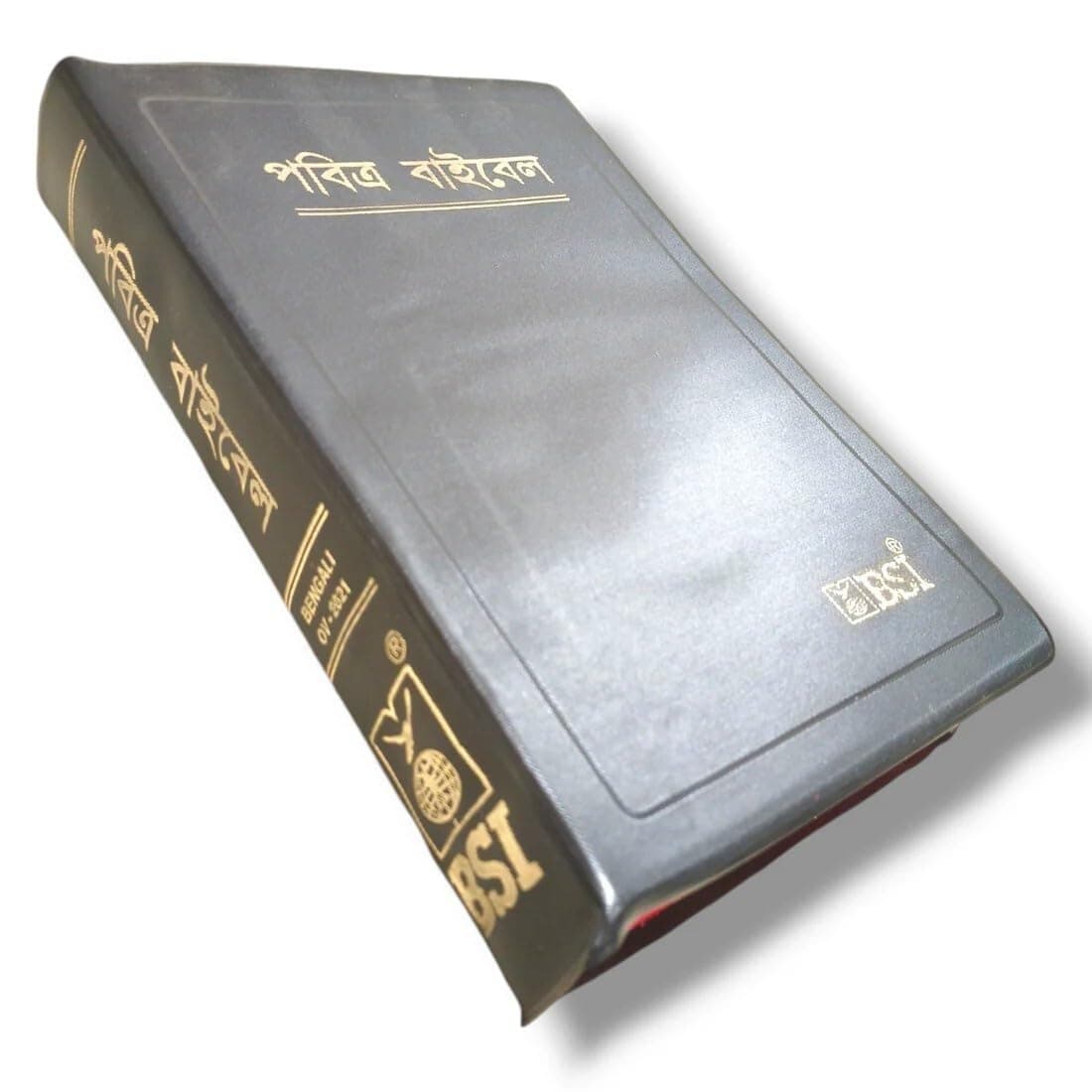 Bengali Holy Bible by The Bible Society of India — Bengali