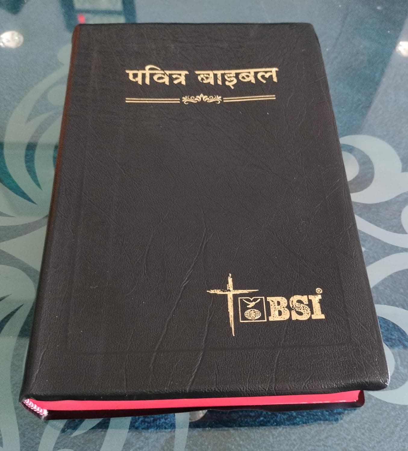 Pavitra Bible Hindi O.V. by God's Word — Hindi