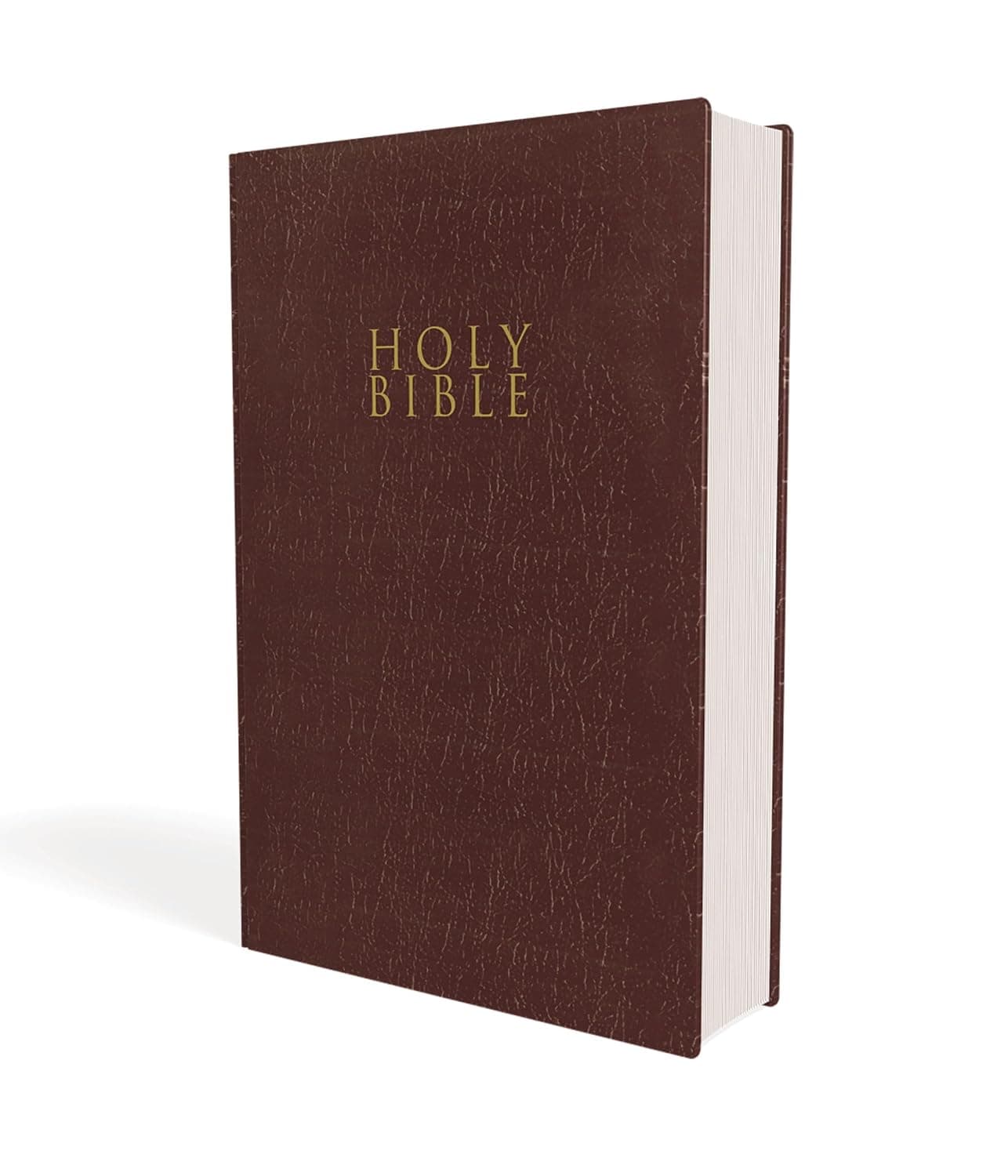NIV Gift and Award Bible by Zondervan — English