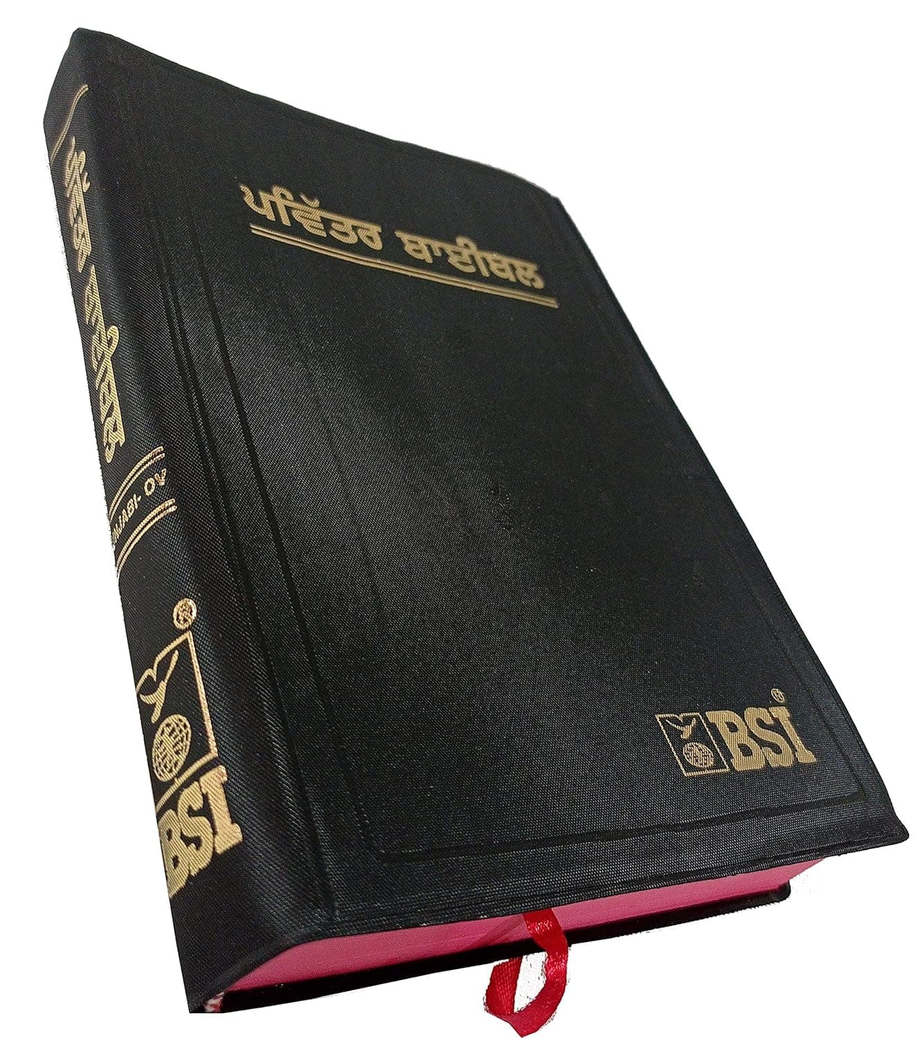Holy Bible Punjabi O.V. by BSI — Punjabi